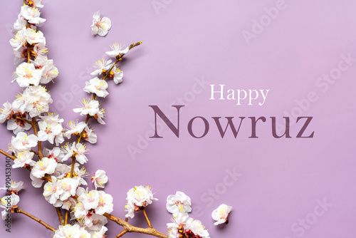 Sprigs of the apricot tree with flowers on pink background Text Happy Nowruz Holiday Concept of spring came Top view Flat lay Hello march, april, may, persian new year photo