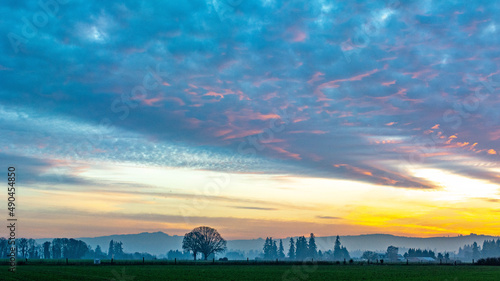 sunset over the field