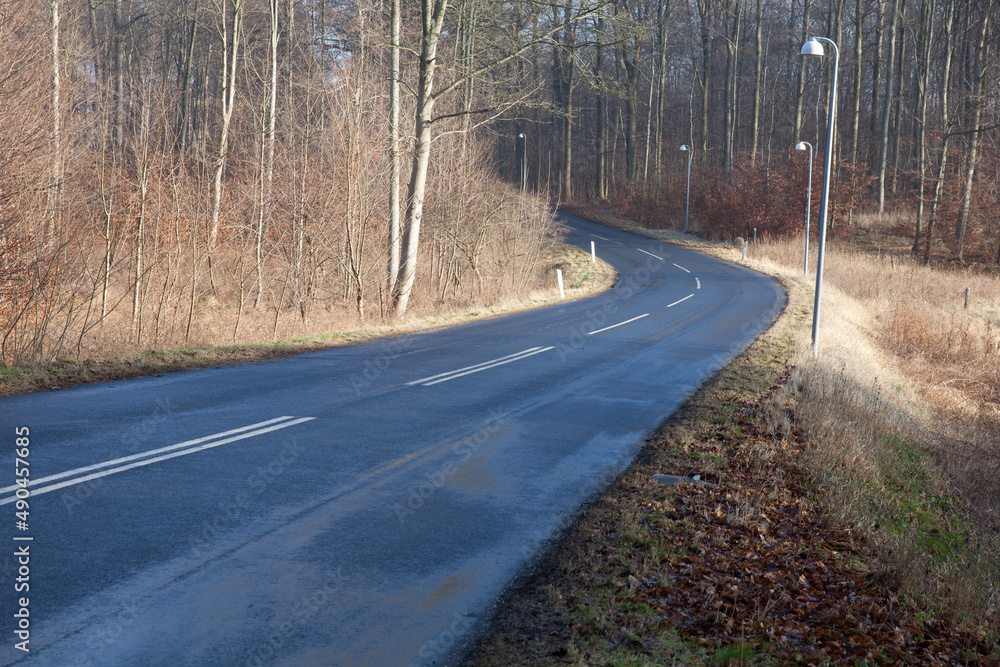 Fototapeta premium Folehaven forest in Hørsholm. 2008