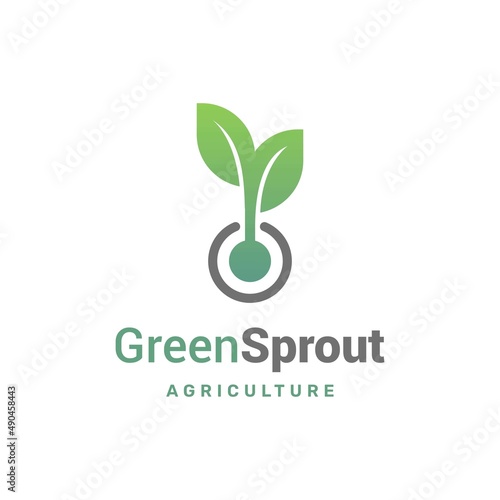 Green plant seed growing sprout grow growth logo icon vector