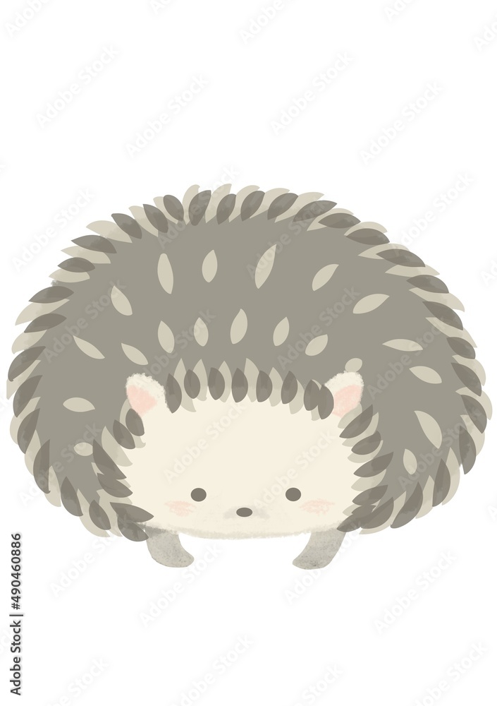 正面を向くハリネズミのイラスト Stock Illustration Adobe Stock