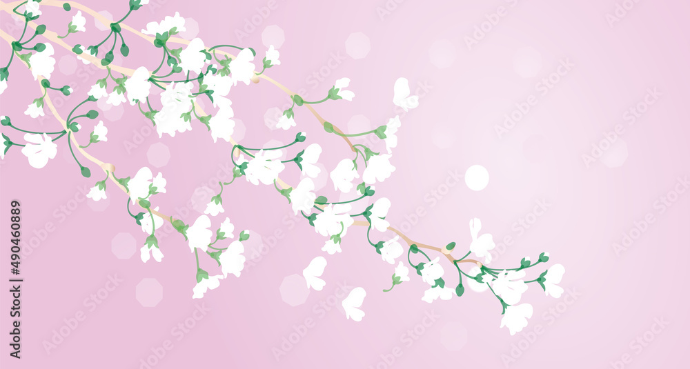 満開の桜ベクターイラストとグラデーション背景 Blooming Sakura in a graded background 満開の桜ベクターイラストとグラデーション背景 Blooming Sakura in a graded background