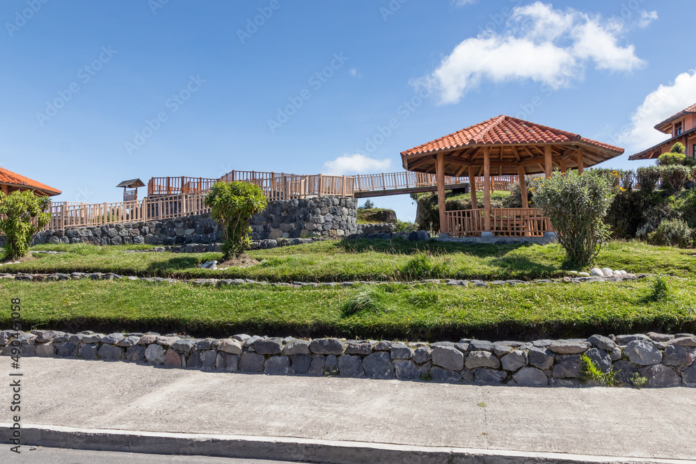 Fototapeta premium garden in the park