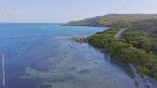 Wallpaper Mural Untouched mangrove coast landscape on Caribbean island, aerial Torontodigital.ca