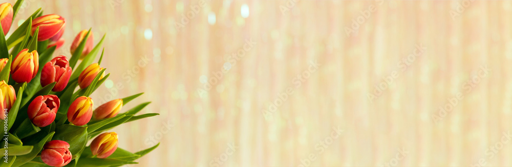 Spring flowers. Banner-a bouquet of pink and yelloy tulips on a shiny background. Congratulations on International Women's Day, March 8, birthday, mother's Day. Copy space. Mock up. Soft focus. Spring flowers. Banner-a bouquet of pink and yelloy tulips on a shiny background. Congratulations on International Women's Day, March 8, birthday, mother's Day. Copy space. Mock up. Soft focus.