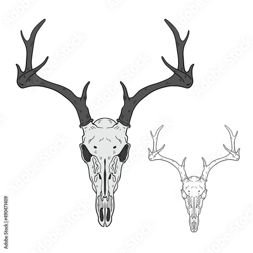 Vector animal skull. hand drawn illustration. Western style logo isolated on white
