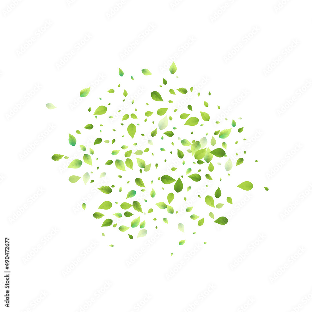 Leaves Green Falling Flying Foliage Leaf Tea Mint Leaves Green Falling Flying Foliage Leaf Tea Mint