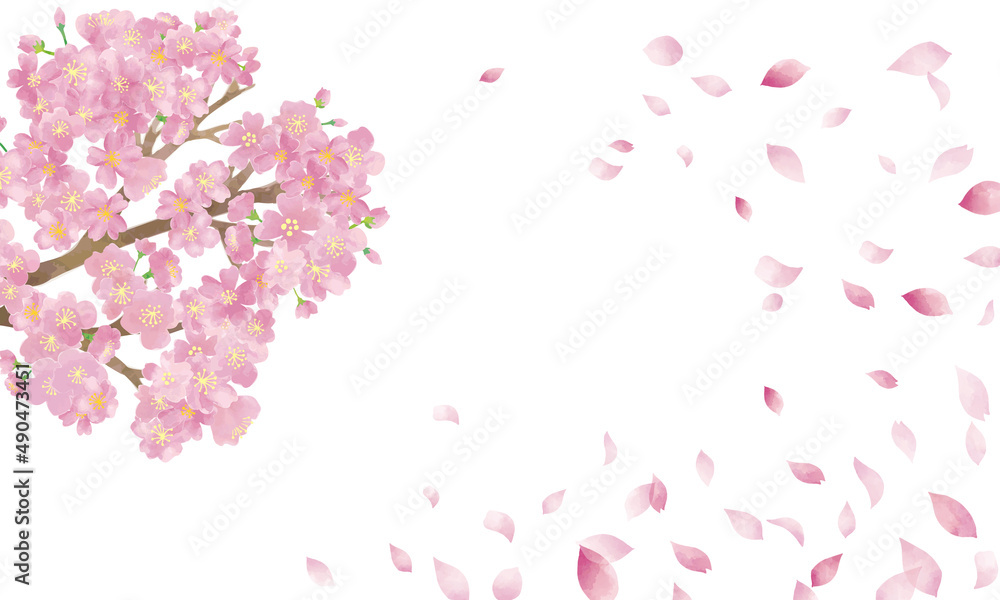 水彩タッチ 桜満開 花びら舞う背景 Stock Vector Adobe Stock