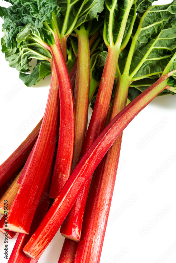 rhubarb stalks isolated on white backround