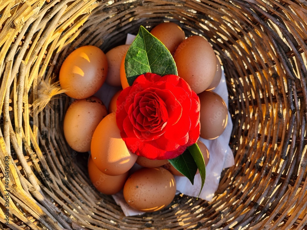 easter eggs and flowers