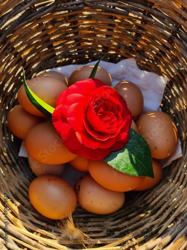 Obraz na płótnie basket with roses and eggs w salonie