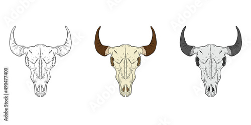 Vector animal skull. hand drawn illustration. Western style logo isolated on white