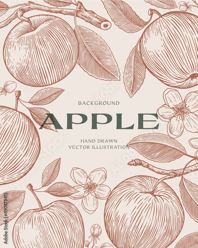 Background with apples in engraving style. Dessert fruits with twigs and flowers. Design element for markets, shops, cafes, restaurants, and packaging. Vintage botanical illustration.
