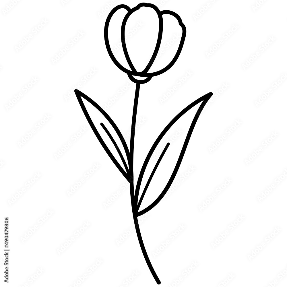 Obraz premium leaves and flowers with hand drawn