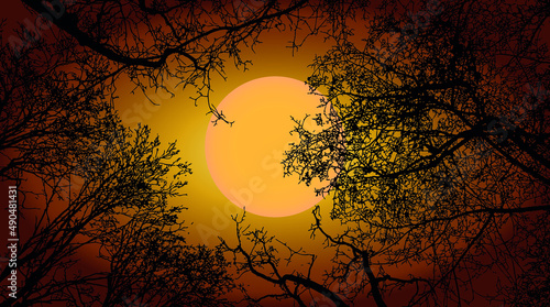 Vector framework from the branches of trees against sky in a full moon