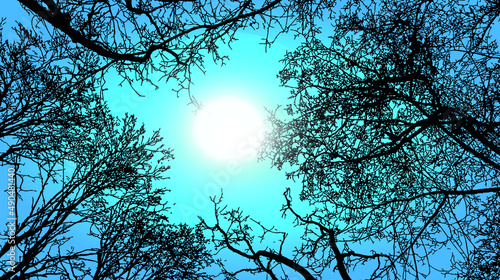 framework from the branches of trees against blue sky