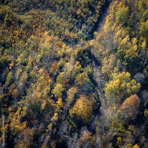 vue aérienne d'une forêt à l'automne à Launoy dans l'Aisne en France 