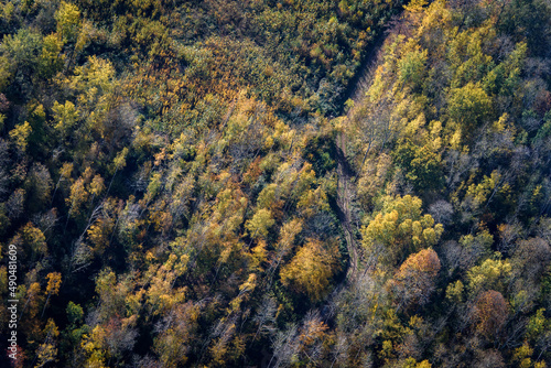 vue aérienne d'une forêt à l'automne à Launoy dans l'Aisne en France 