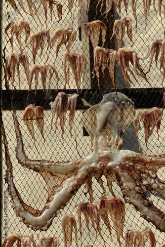 sun-dried octopus on wooden racks on the beach in Nazar    Portugal