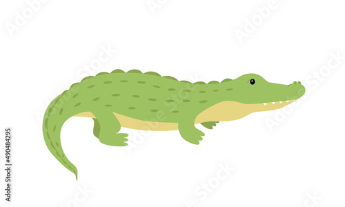 Crocodile cute cartoon alligator. Vector illustration of an African predator animal isolated on white.