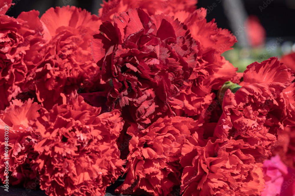 carnations on the monument to fallen heroes, the day of victory in the Great Patriotic War on May 9, 1945, selective focus carnations on the monument to fallen heroes, the day of victory in the Great Patriotic War on May 9, 1945, selective focus