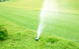 Sprinklers water the green lawn.