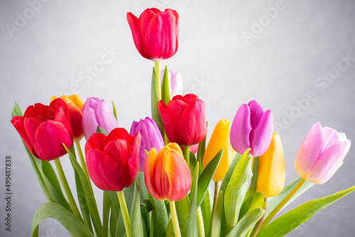 Fototapeta Naklejka Na Ścianę i Meble -  a big bouquet of tulips of various colours