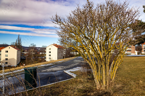 Photography houses in the city, Kayserløkka, Oslo, Norway