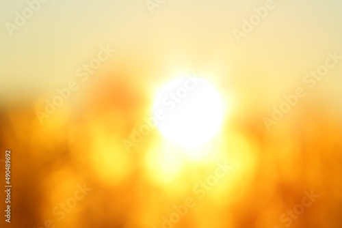 Abstract blurred golden sunset background with bokeh effect