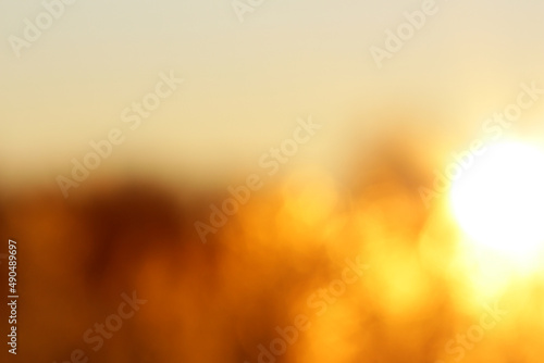 Abstract blurred golden sunset background with bokeh effect