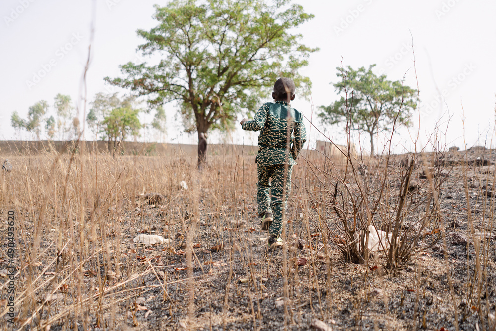 Rear view of a little black African boy walking in the midst of scrub in a dry cornfield in the Sahel region; climate change concept Rear view of a little black African boy walking in the midst of scrub in a dry cornfield in the Sahel region; climate change concept