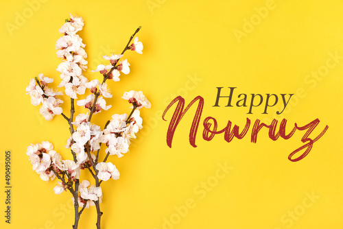 Sprigs of the apricot tree with flowers on yellow background Text Happy Nowruz Holiday Concept of spring came Top view Flat lay Hello march, april, may, persian new year