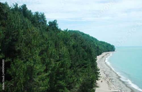 Coastline, sandy beach in Musser. Pine trees approach the seashore. The Black Sea coast in Musser. Abkhazia photo