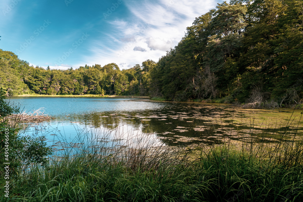 lake and forest lake and forest