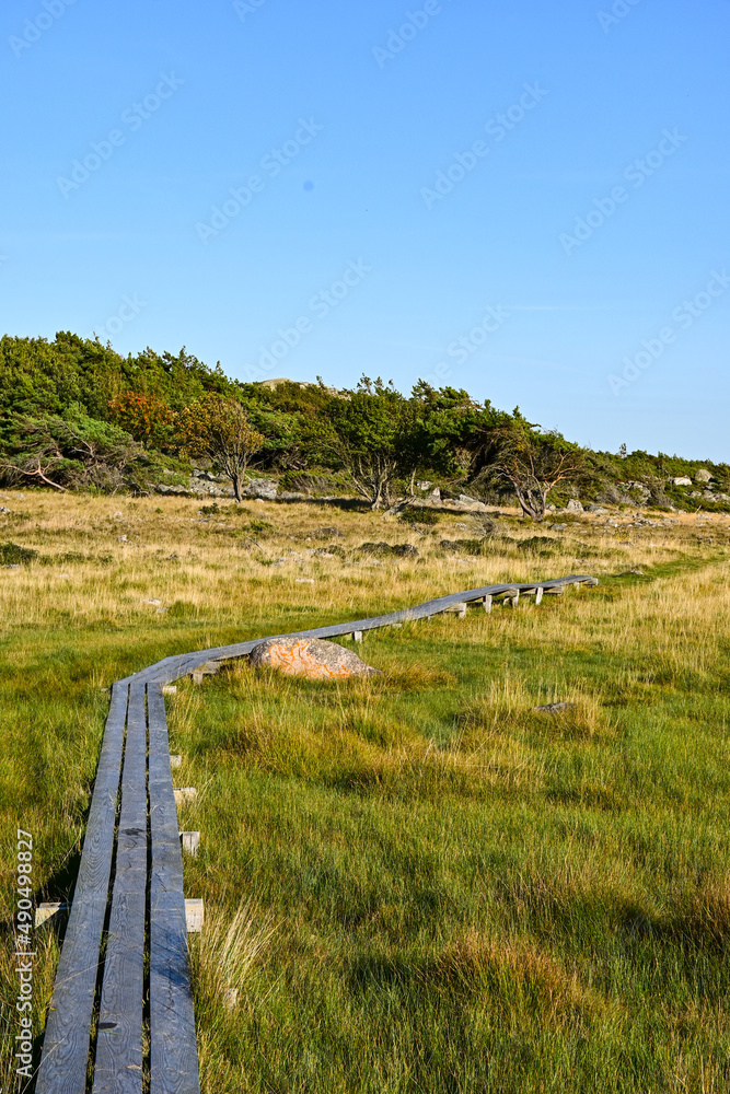 Scandinavian hiking trail on a field in Koster island, Sweden