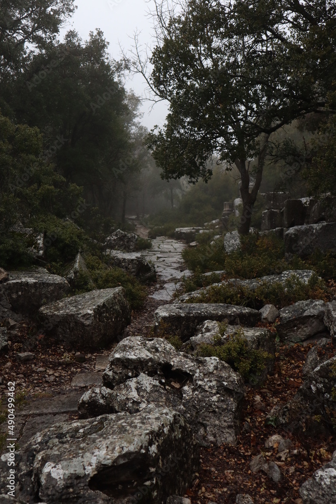 famous ancient city termessos, Turley famous ancient city termessos, Turley