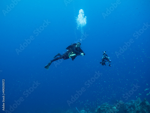 Professional diver, underwater cinematographer in coral reef of Caribbean Sea around Curacao