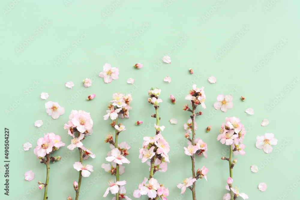 image of spring white cherry blossoms tree over green pastel background. vintage filtered image