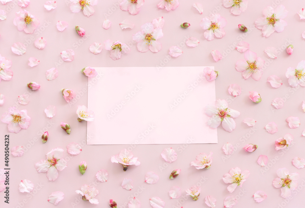 image of spring white cherry blossoms tree and empty paper over pink pastel background