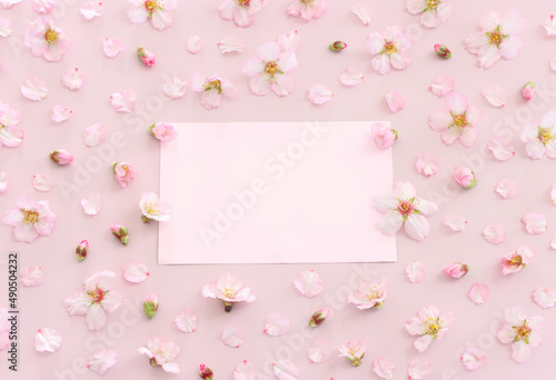 image of spring white cherry blossoms tree and empty paper over pink pastel background © tomertu