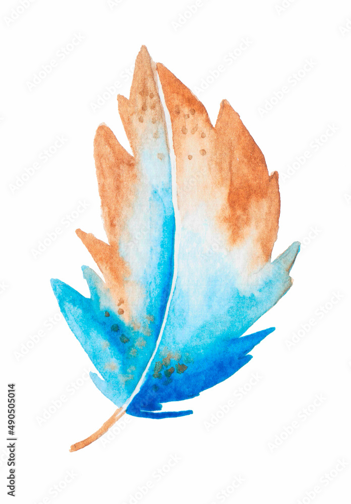 Fototapeta premium Watercolor feather.