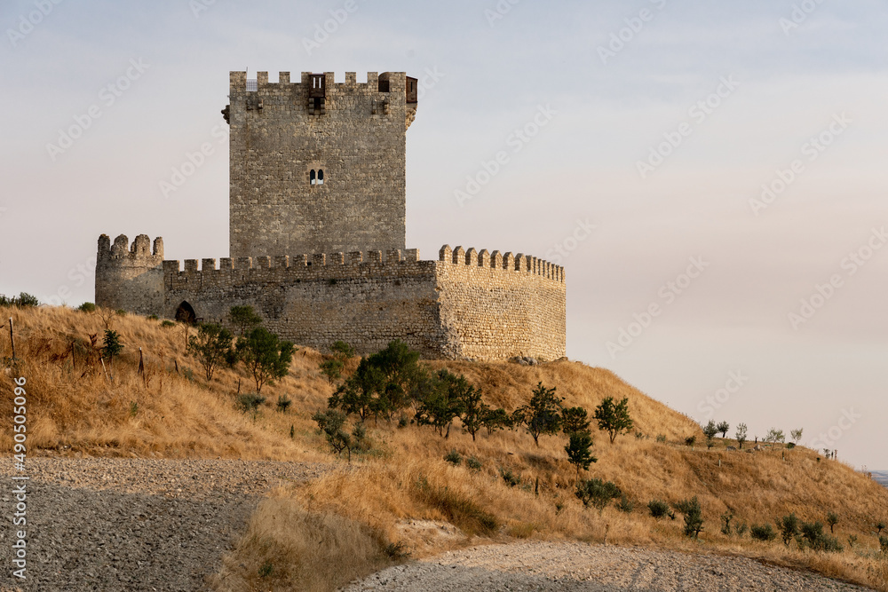 Tiedra medieval castle in the route of the castles in a sunny day, Castilla y León, Spain