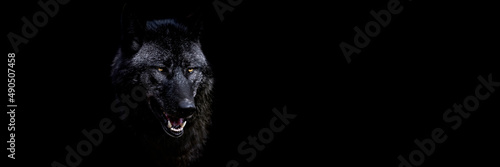 Template of a black wolf with a black background