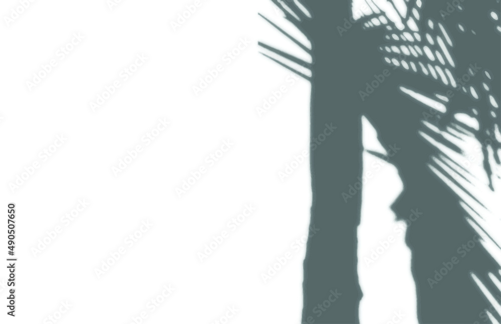 shadow overlay vector isolated on transparent background for presentations and mock ups, minimal tropical plants and window frame scene, indoor light effect with sunshine and rays
