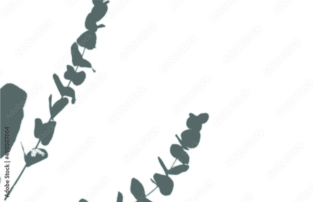 shadow overlay vector isolated on transparent background for presentations and mock ups, minimal tropical plants and window frame scene, indoor light effect with sunshine and rays
shadow overlay vector isolated on transparent background for presentations and mock ups, minimal tropical plants and window frame scene, indoor light effect with sunshine and rays