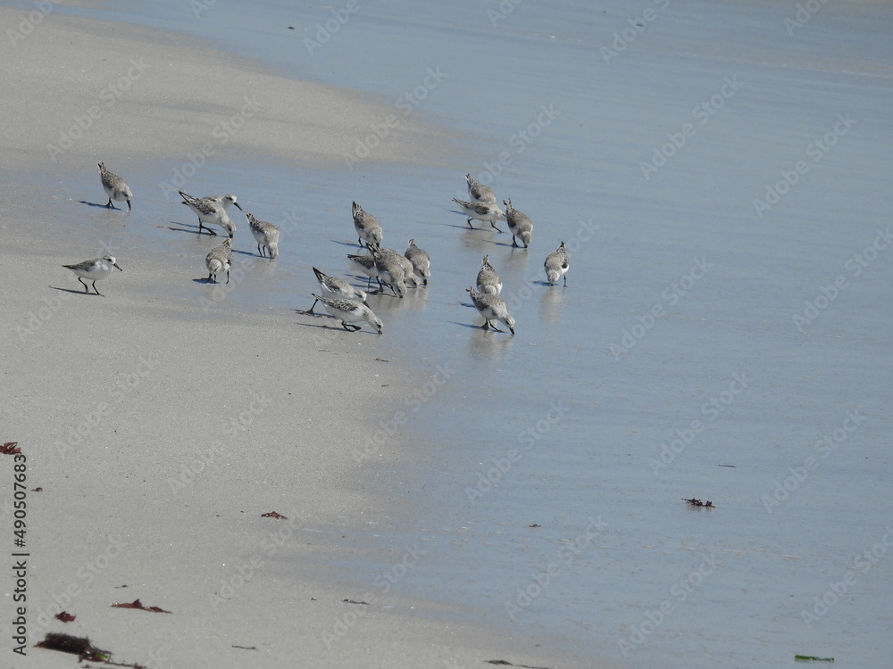 Fototapeta premium Garden Route & Lamberts Bay