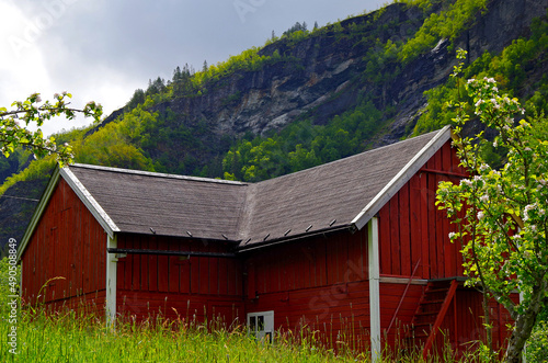 Breathtaking scenery of mountains, galciers and waterfalls in Geirangerfjord during cruising to Norway in Geiranger with beautiful scenic panorama nature landscape in Fjord photo