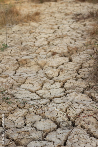 Closeup detail of dry cracked lakebed