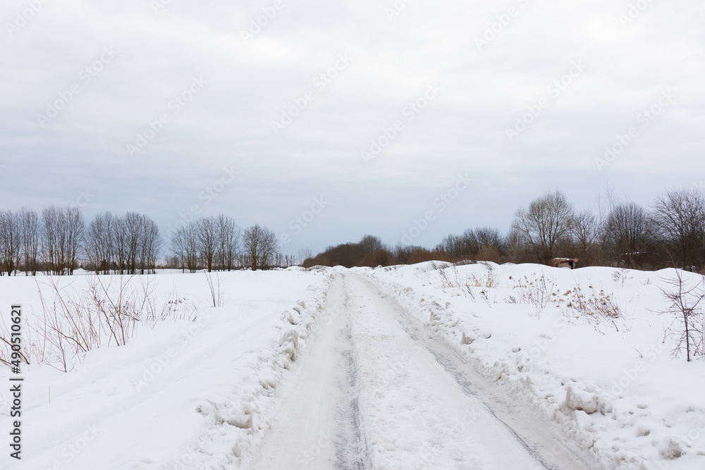 Snow-covered country road with track of cars wheels, bare trees and bushes