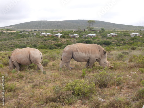 garden route game reserve